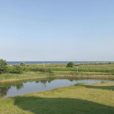 Vitamin Sea *